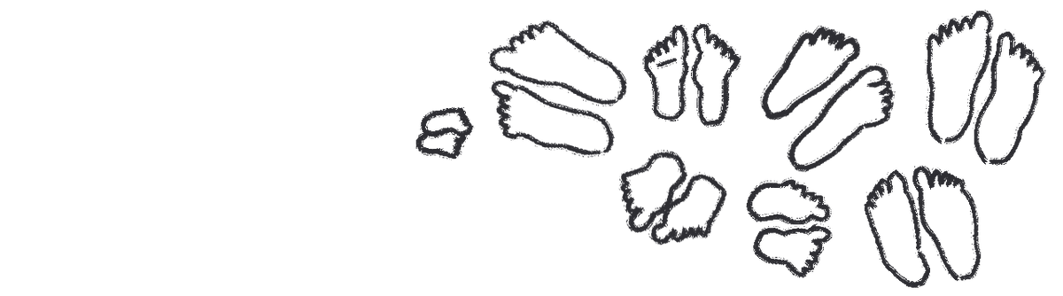 Banner podologos