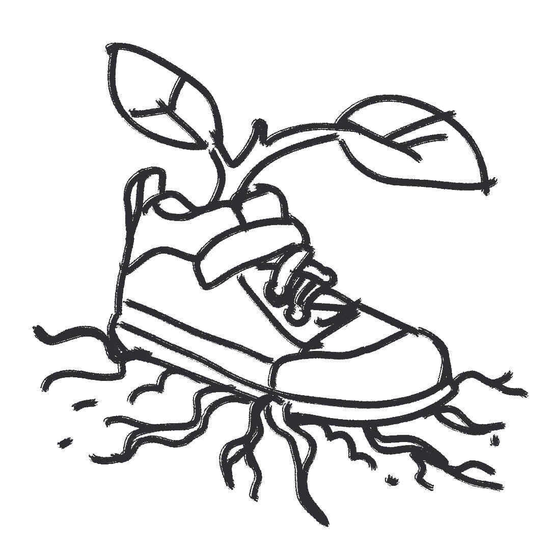 Ilustracion producto