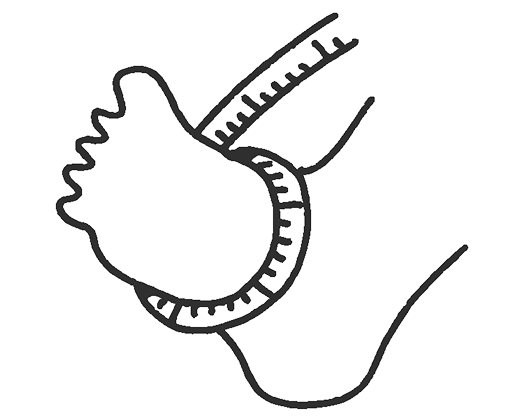 Guía tallas
